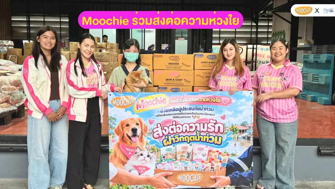 Thai Awesome และ Moochie ร่วมบริจาคสิ่งของช่วยเหลือผู้ประสบภัยน้ำท่วม ผ่านร้าน Petmall และ PET MED+