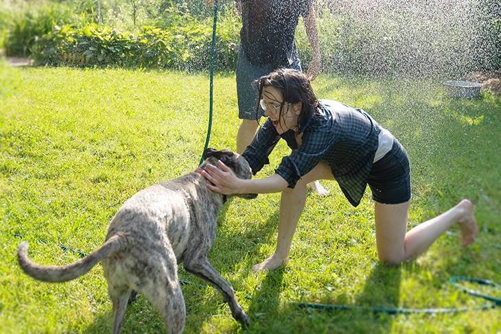 Ways to cool down your pet during Summer!t